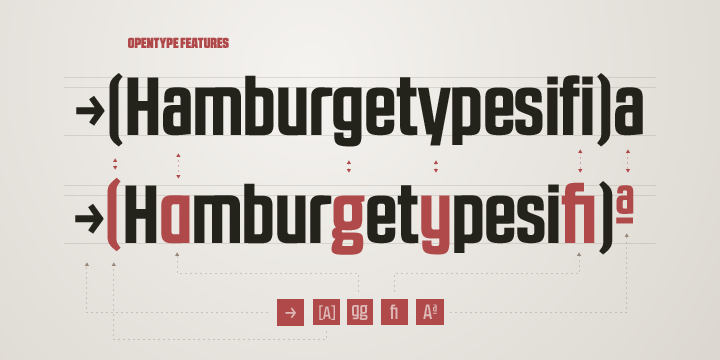 rbno2.1 font family