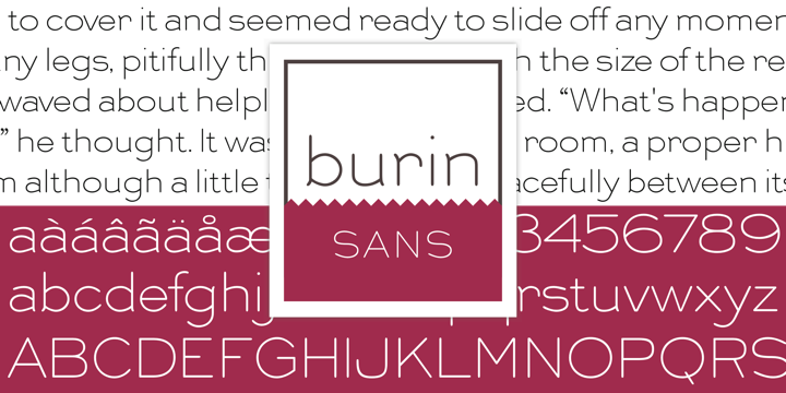 Burin Sans™