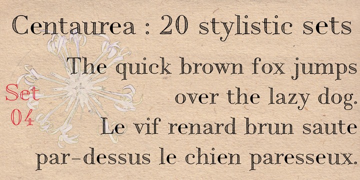 Centaurea™