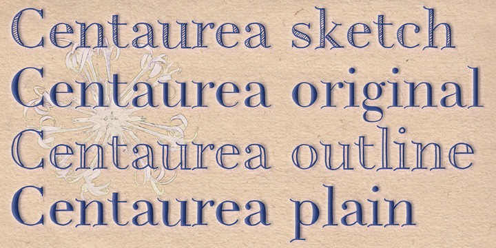 Centaurea™