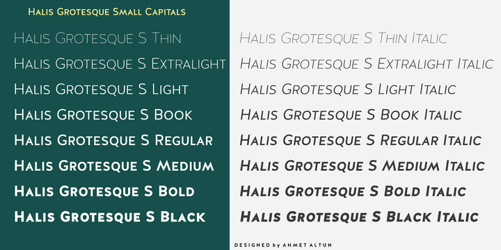 Halis Grotesque