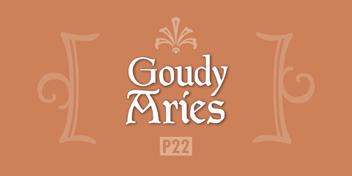 P22 Goudy Aries™