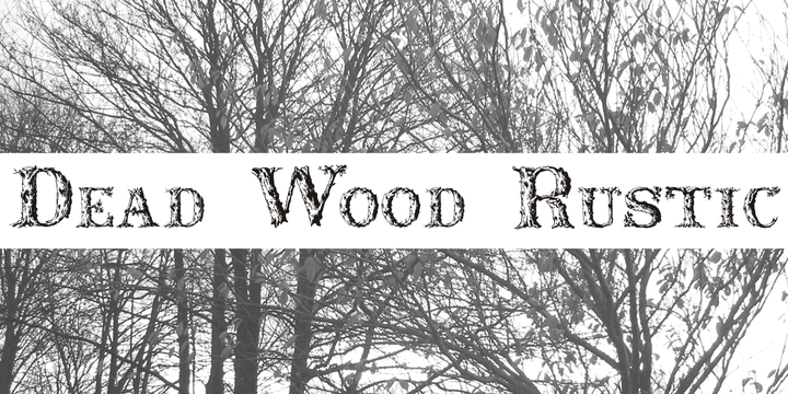 Dead Wood Rustic Dead Wood Rustic