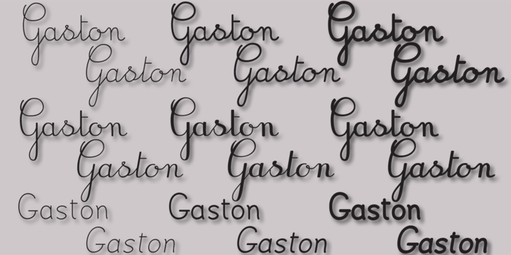 Gaston™