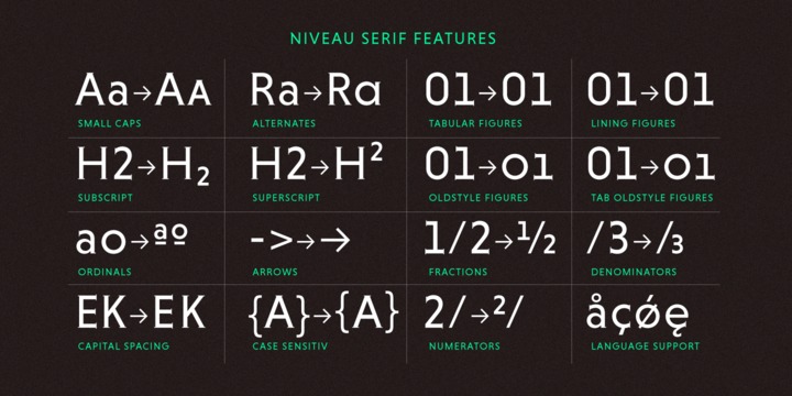 Niveau Serif™