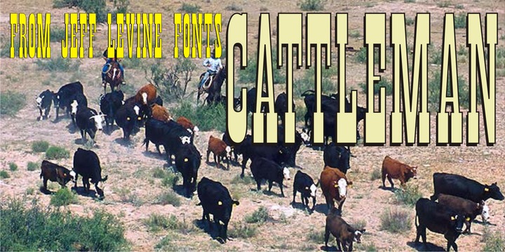 Cattleman JNL