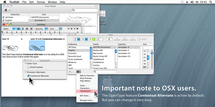 ASTYPE Ornaments Accolades B™