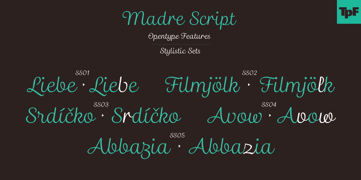 madre script font free download