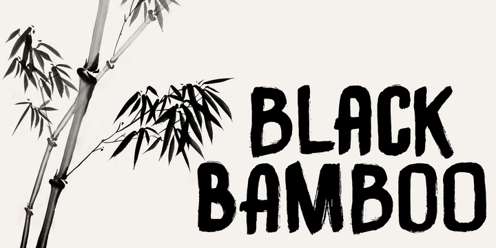 Black Bamboo 