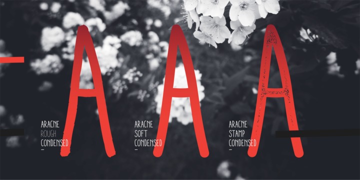 Aracne Condensed