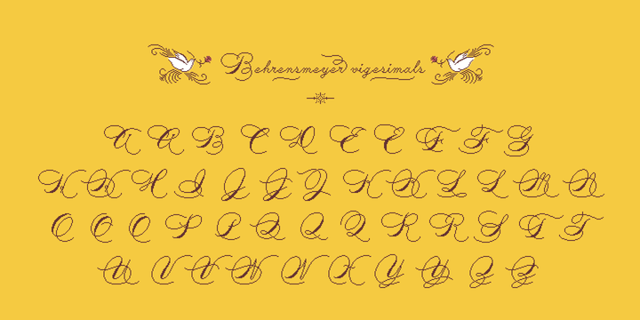 Behrensmeyer Vigesimals™