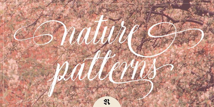 Natura Webfont Desktop Font Myfonts