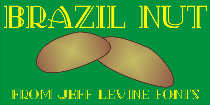 Brazil Nut JNL 