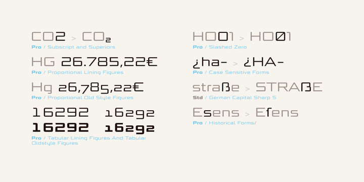 Bunken Tech Sans Wide