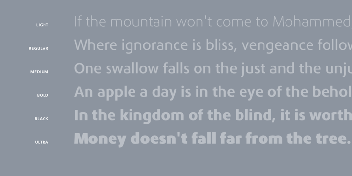 phoenica std mono font free