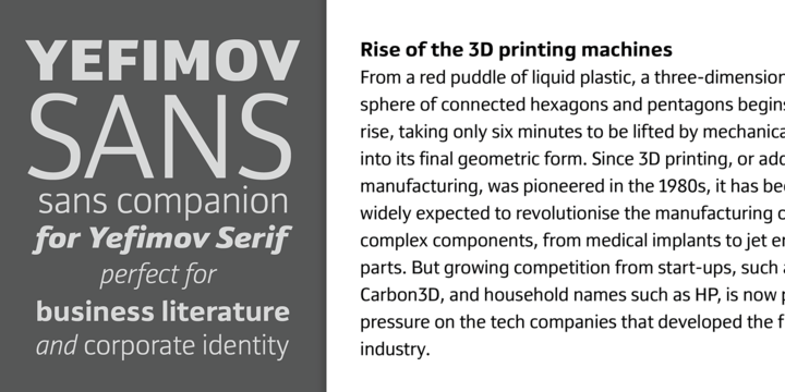 Yefimov Sans
