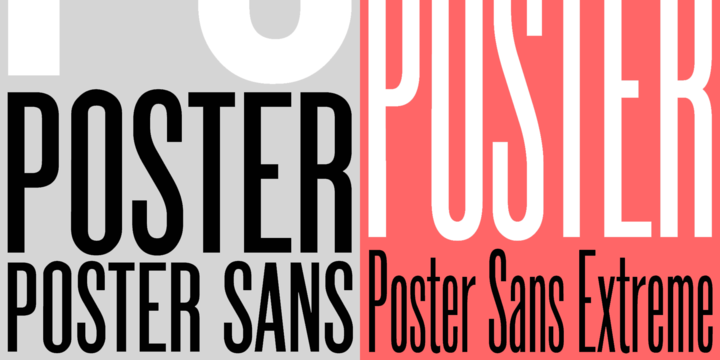 Poster Sans
