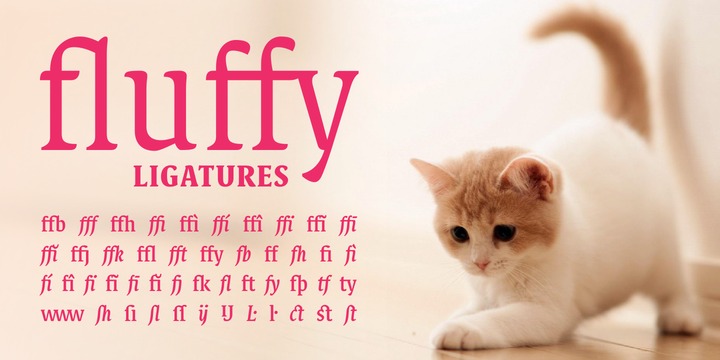 Destra Font Webfont Desktop Myfonts