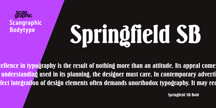 Springfield SB™