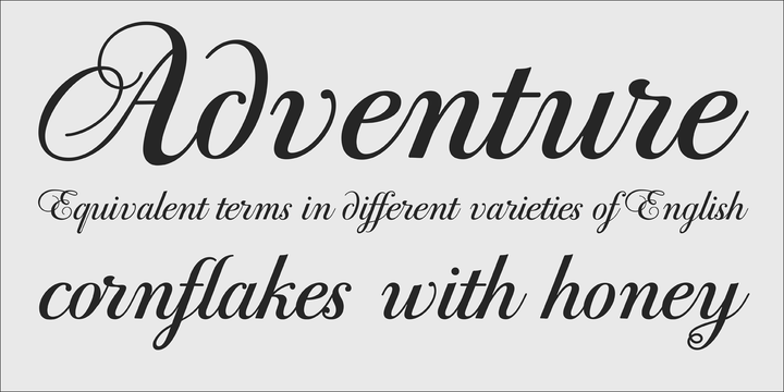 PF Bodoni Script Pro™