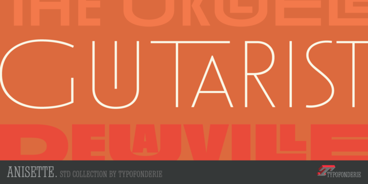 anisette std bold