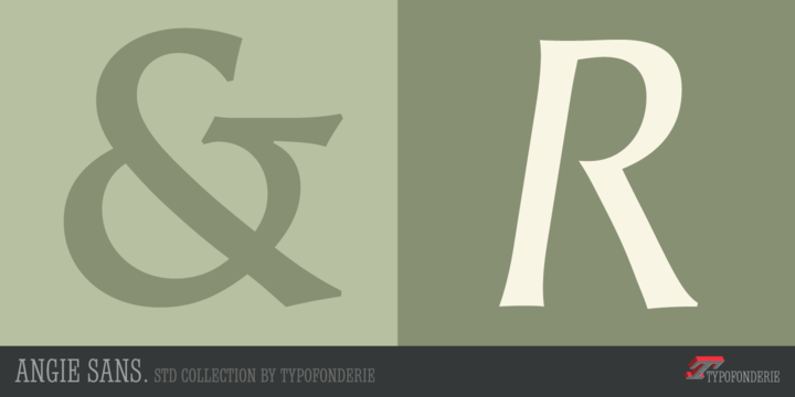 Angie Sans Std®