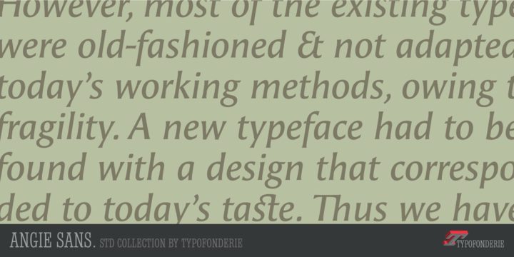 Angie Sans Std®