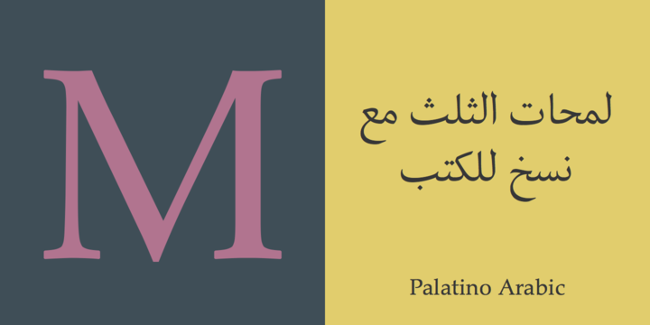 Palatino® Arabic