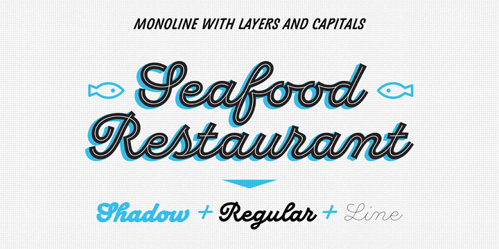 Di Mare Font | Webfont & Desktop | MyFonts