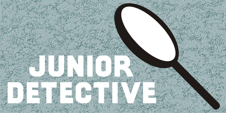 Junior Detective JNL 