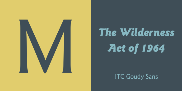 ITC Goudy Sans®