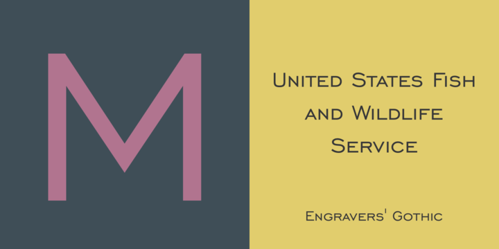 Engravers' Gothic™
