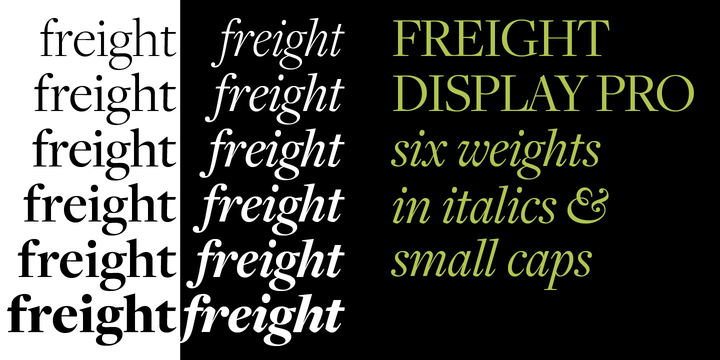 Download Freight Display Pro Webfont Desktop Font Myfonts PSD Mockup Templates