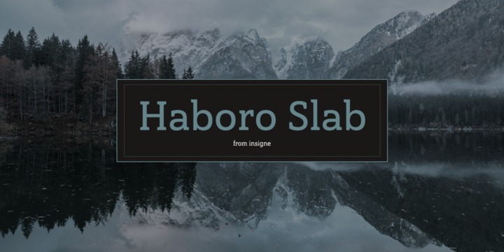 Haboro Slab™