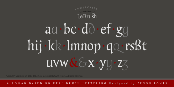 LeBrush