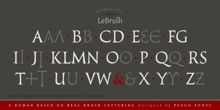 LeBrush
