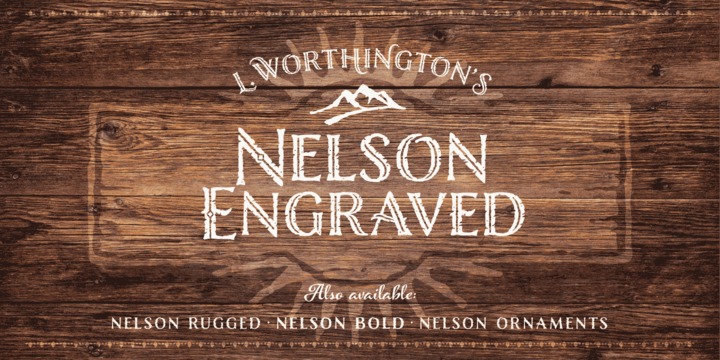 Nelson | Webfont & Desktop font | MyFonts