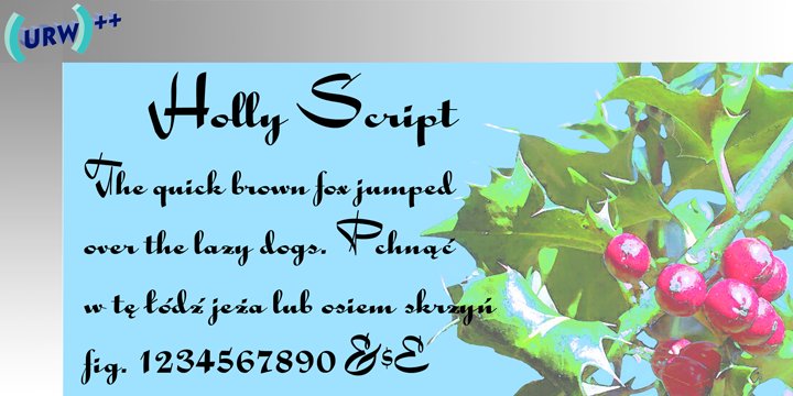 Holly Script™
