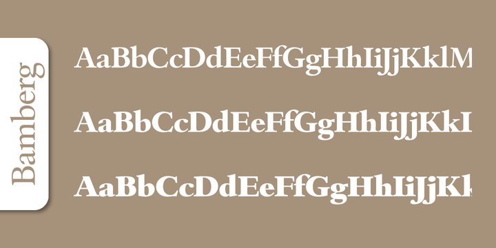 Bamberg Serial™