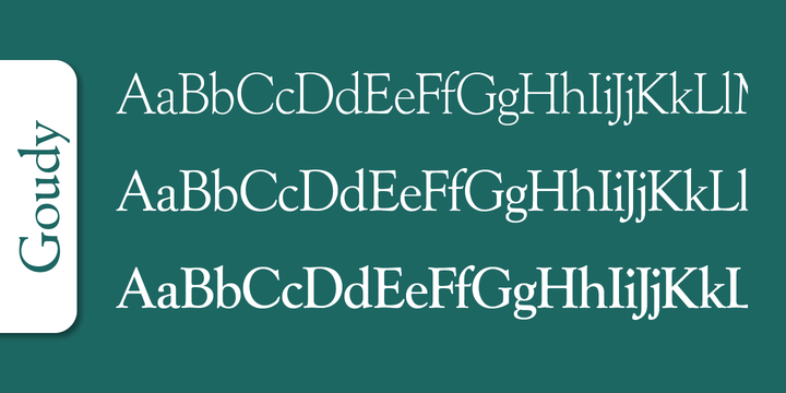 Goudy Serial™
