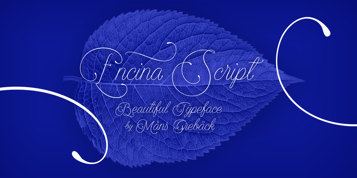 Encina Script