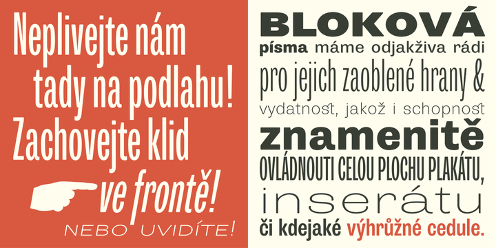 Trivia Grotesk