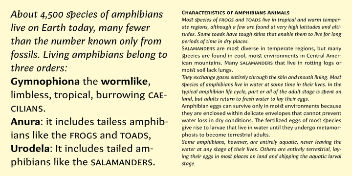 Amphibia™ 