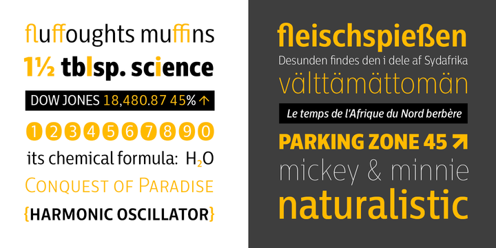 Centrale Sans Condensed