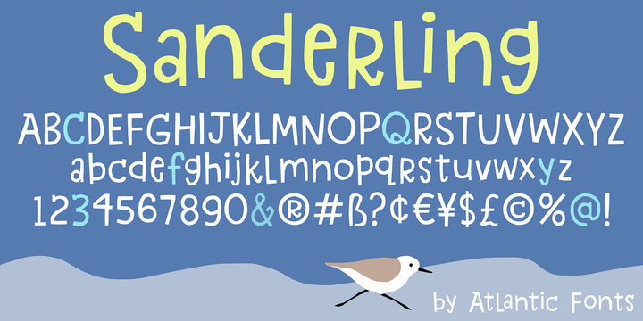 Sanderling