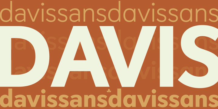 Davis Sans™