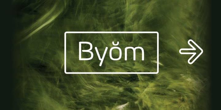 Biome Std Wide Bold Font Biome Std Wide Bold Font