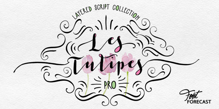 Les Tulipes Pro