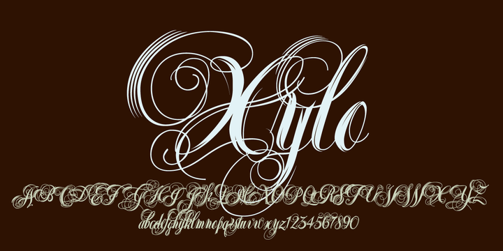 Download Xylo Script Font Webfont Desktop Myfonts SVG Cut Files