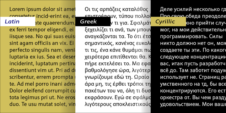 Schnebel Sans Pro™